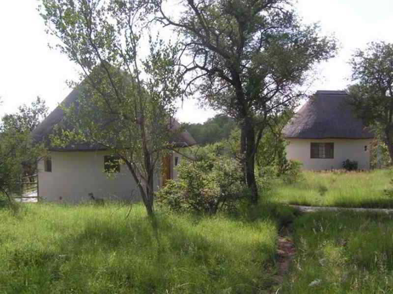 Mbizi Bush Lodge Phalaborwa Zewnętrze zdjęcie