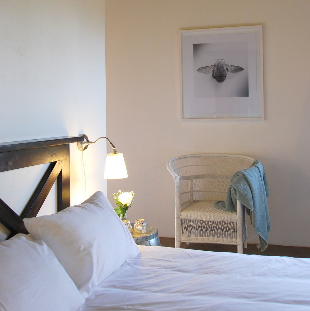 Mbizi Bush Lodge Phalaborwa Zewnętrze zdjęcie